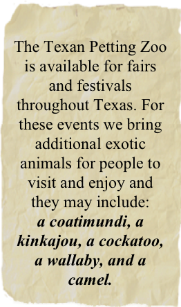 
The Texan Petting Zoo
is available for fairs and festivals
throughout Texas. For these events we bring additional exotic animals for people to
visit and enjoy and                    they may include:
a coatimundi, a kinkajou, a cockatoo, a wallaby, and a camel.